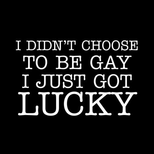 I Didn’t Choose to be Gay T-Shirt