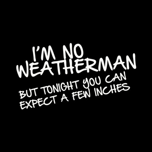 I’m No Weatherman T-Shirt